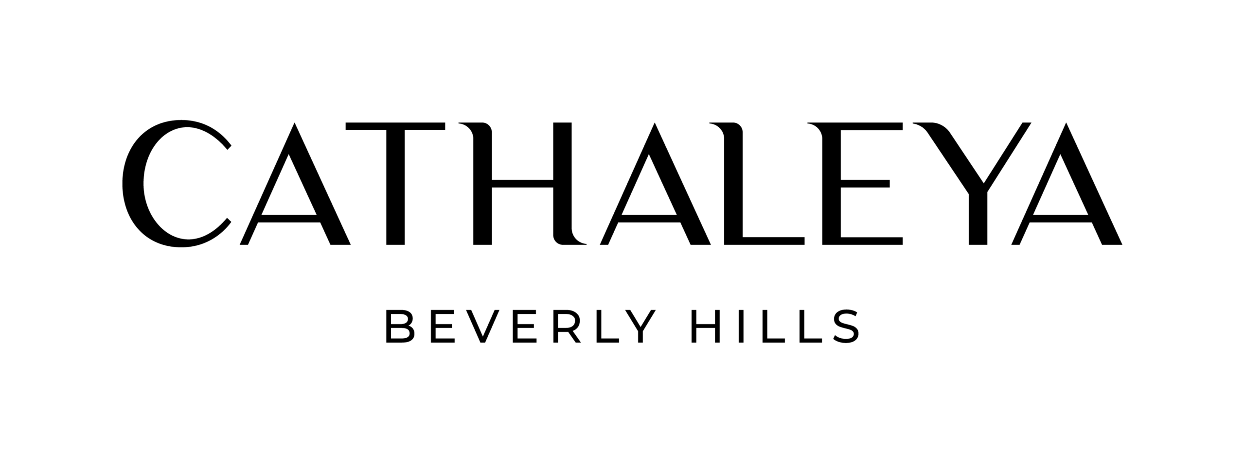 CATHALEYA Beverly Hills corporate folder brand application.